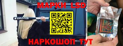 СК Пенза