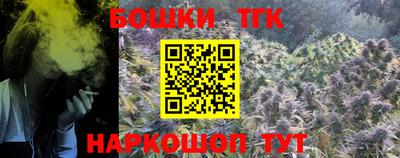 СК Пенза