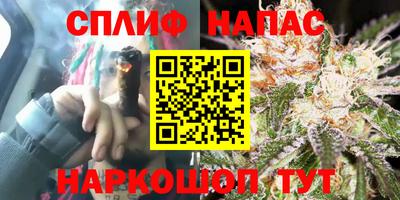 СК Пенза