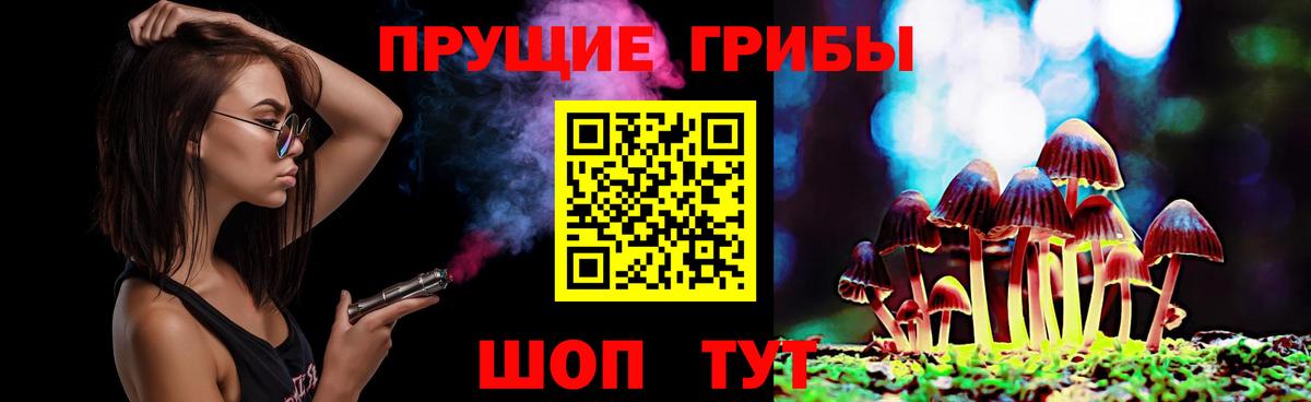 Псилоцибиновые грибы Magic Shrooms  цены   Знаменск  Вход с VPN  Псилоцибиновые грибы Psilocybe 